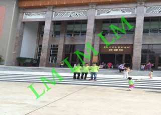 Management project of Guangzhou children's Library